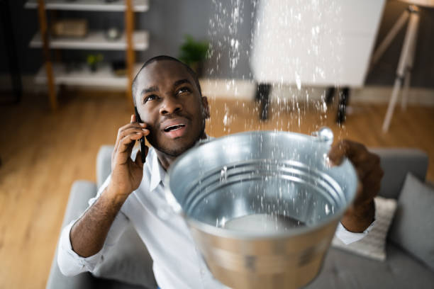Best Mold removal after water damage  in Wyandanch, NY