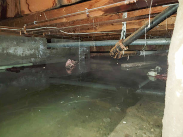 Best Residential water damage restoration  in Wyandanch, NY
