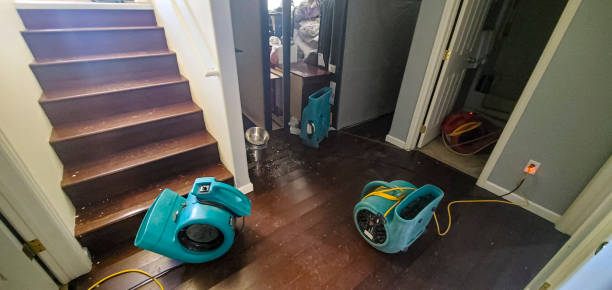  Wyandanch, NY Water damage restoration Pros