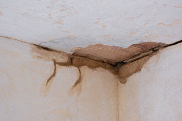 Best Water damage contractors near me  in Wyandanch, NY