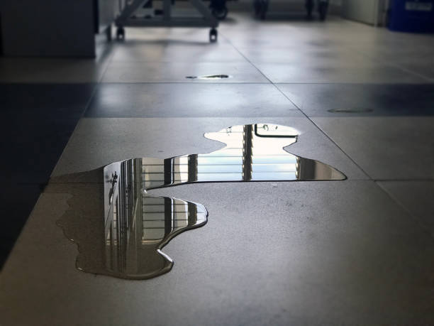 Best Water damage restoration specialists  in Wyandanch, NY