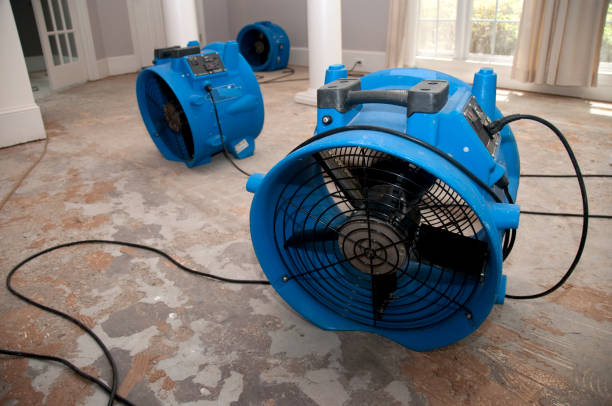 Best Water damage contractors near me  in Wyandanch, NY