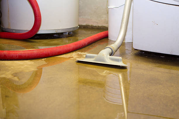 Best 24/7 water damage repair  in Wyandanch, NY