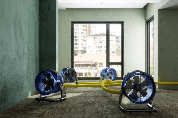 24/7 water damage repair in Wyandanch, NY